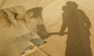 A Russian man shovels grain at a farm in Vasyurinskoe during the country’s worst drought in decades in August 2010.