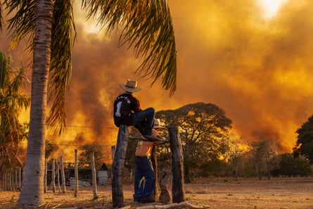 Wetland boys watch a fire
