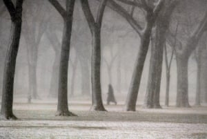 A man walks through a park on a chilly day in Washington DC