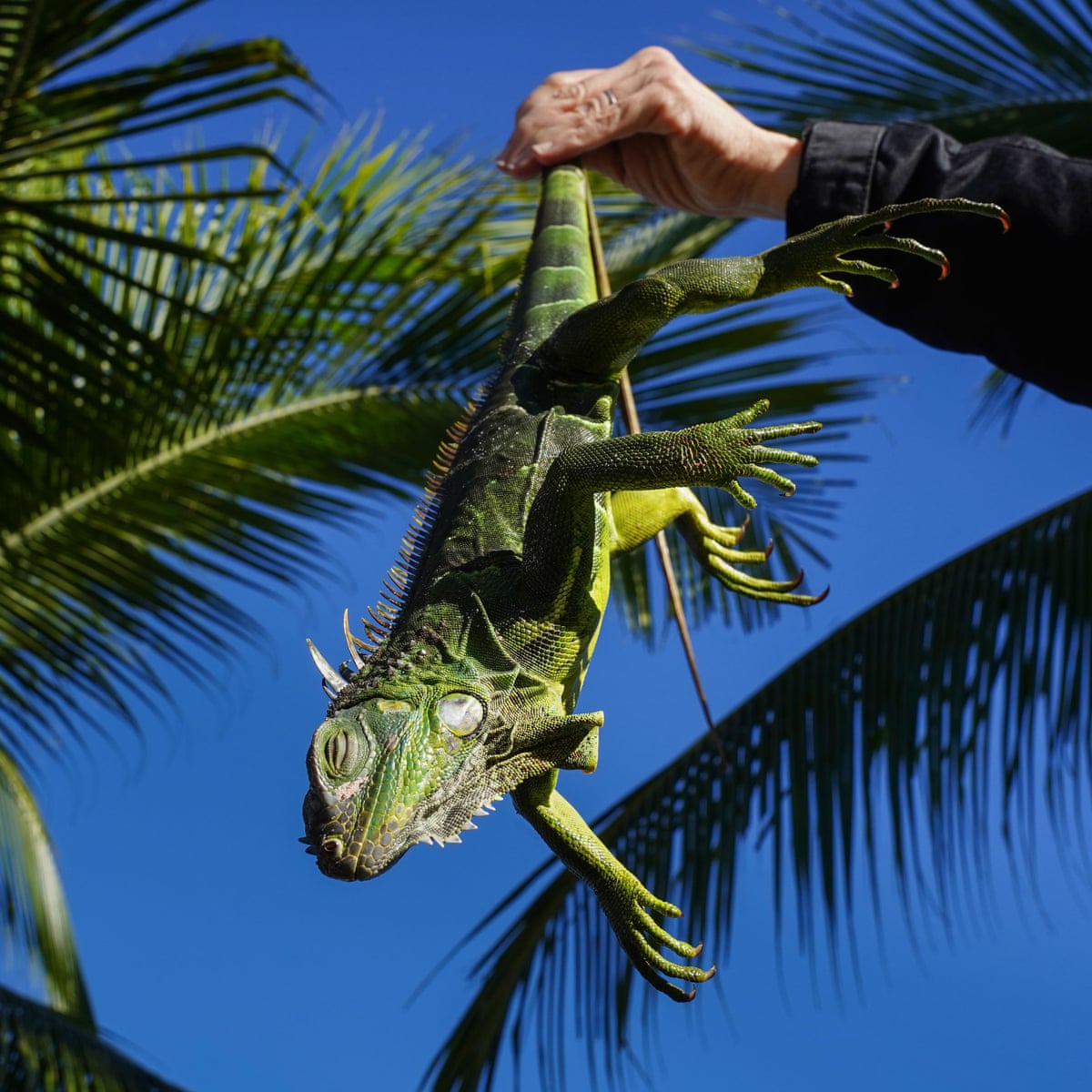In the Name of Quality – check, re-check and double-check - eguana