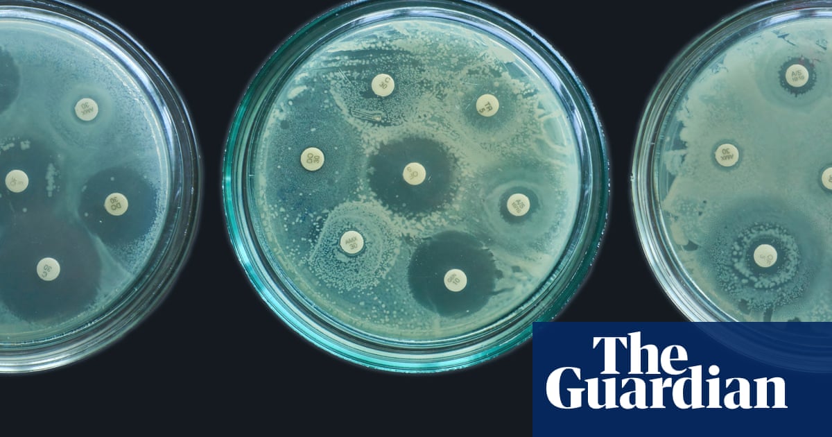 Farming pharmaceutical and health pollution fuelling rise in superbugs UN warns