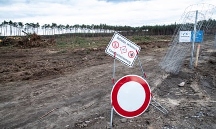 Trees are cut down at the determined site of the Tesla gigafactory near Berlin.