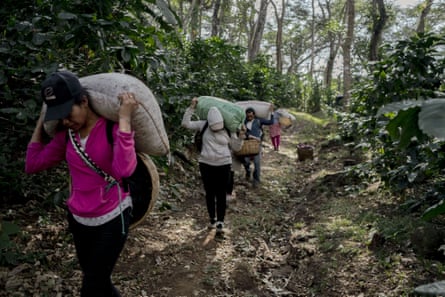 Women and men carrying large sacks ton a trail though a forest