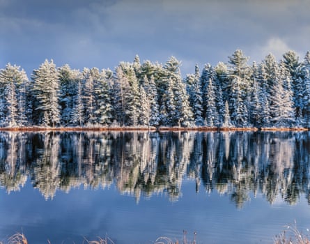 Snow covered trees reflected in Mew Lake, Algonquin Provincial Park, Ontario