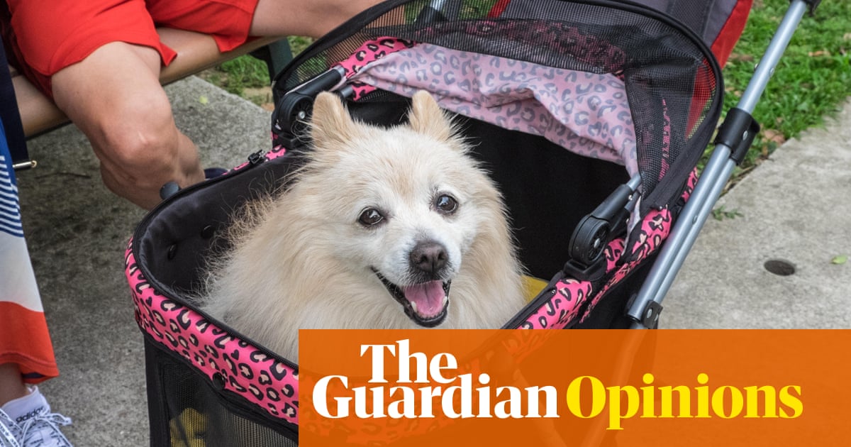 Are millennials really substituting dogs for children? Obviously not as any dog owner would know | Zoe Williams