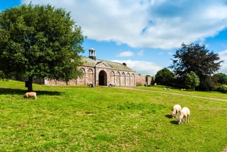 Sheep grazing on a sloping lawn with a low-rise redbrick building with semicircular windows in the background