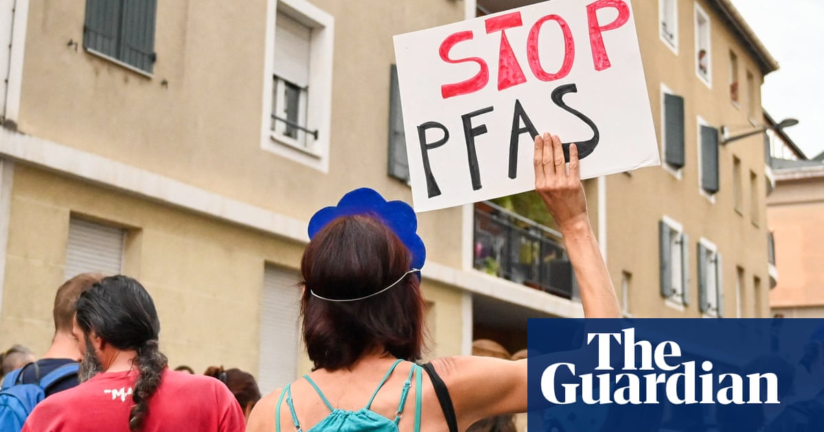 Some gut microbes can absorb and help expel forever chemicals' from the body, research shows