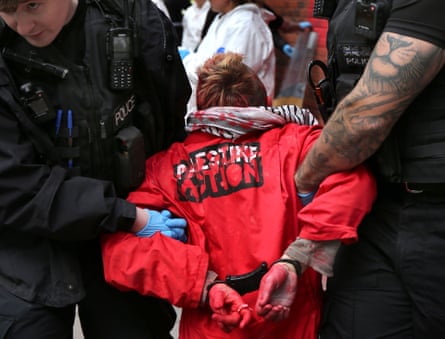 A Palestine Action activist being arrested