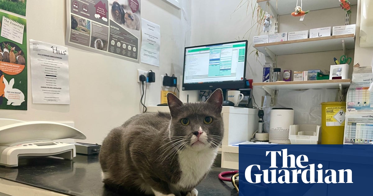 UK Study on Flea Treatments Raises Regulatory Overreach Concerns