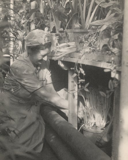 Constance Spry working in her greenhouse, c1942.