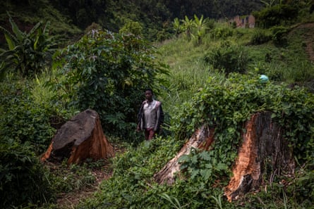 Members of the Batwa community near the edge of Kahuzi-Biega national park