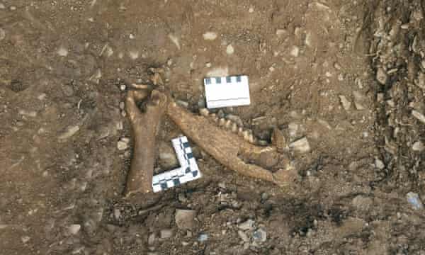 New Finds Beef Up Case For Redrawing Map Of Roman Empire Uk News