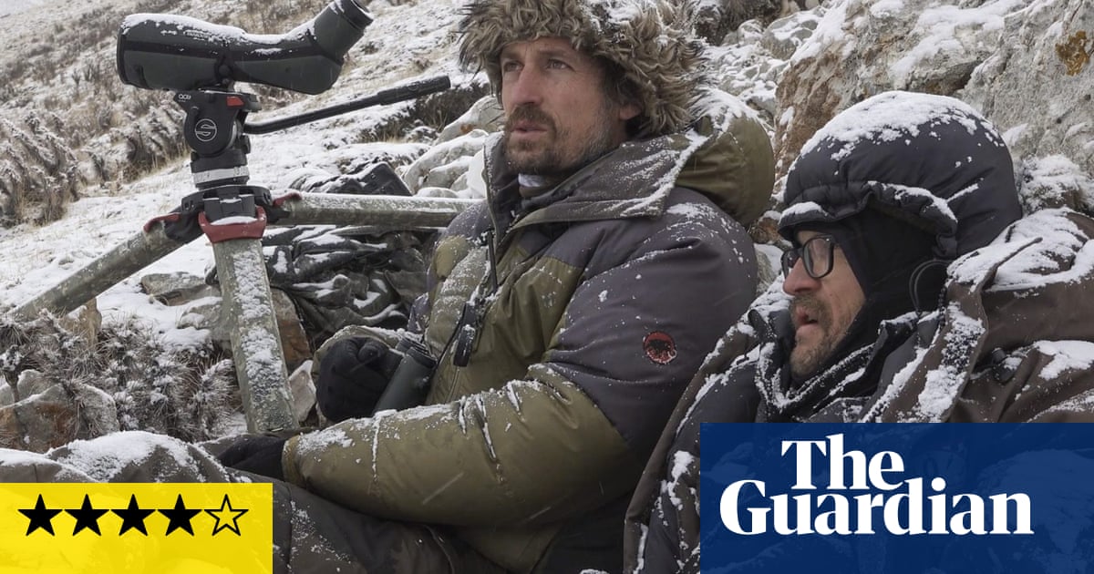The Velvet Queen review – powerful hymn to the land of the snow leopard