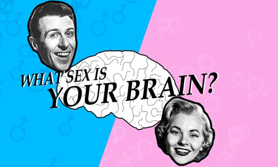 A screen from the interactive exhibit which asks ‘What sex is your brain?’ 