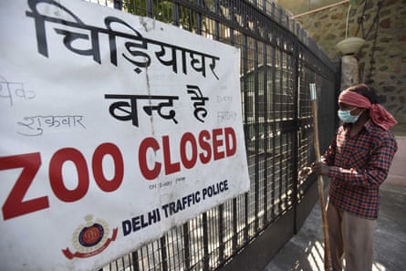 Bird flu sweeps through zoos with 'grave implications' for endangered animals | Bird flu | The Guardian