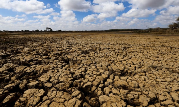 A dried-up pond in Laikipia