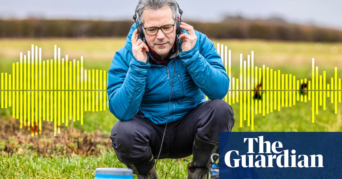 Meet the scientists on a new wildlife frontier: the mysterious sounds of the underground | Soil