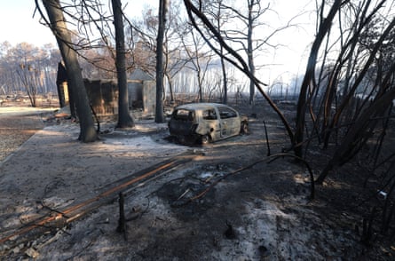 A burnt car surrounded by scorched trees.