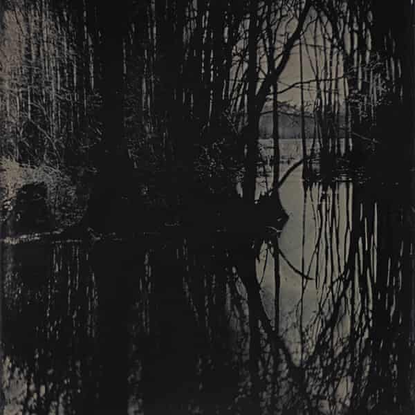 Dark swamp reflections