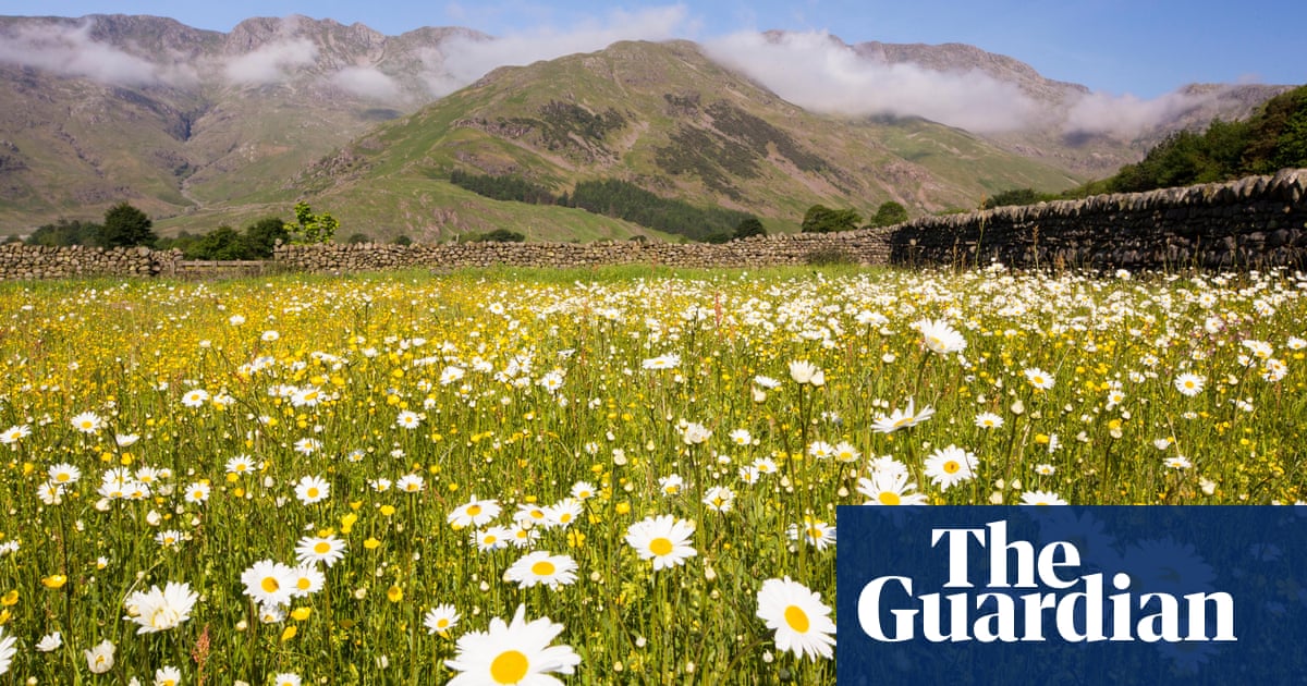 Spring Meadows