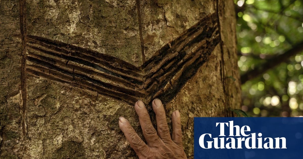 ‘Carbon fever’ threatens hard-won Indigenous rights in Bolivian Amazon