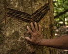 ‘Carbon fever’ threatens hard-won Indigenous rights in Bolivian Amazon