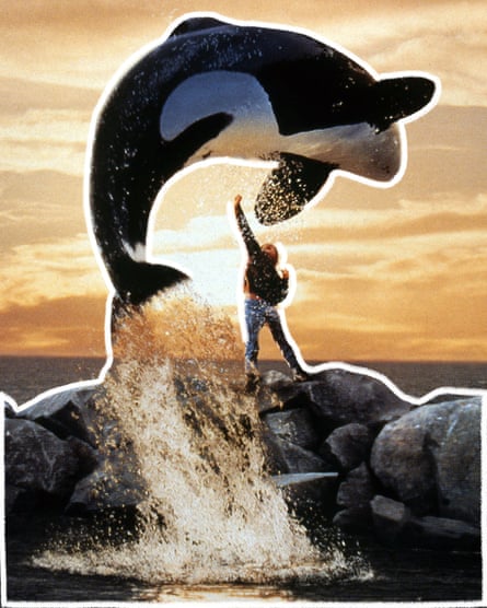 scene from the film Free Willy with the orca leaping over the boy