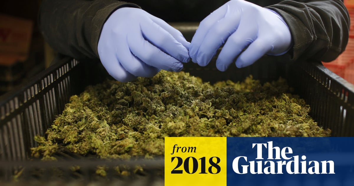 New Zealand passes laws to make medical marijuana widely available
