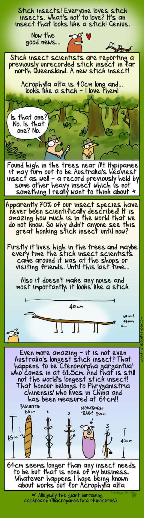Cartoon by First Dog on the Moon titled New Stick Insect, panel 1