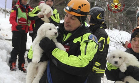 Firefighters hold three puppies that were found alive in the rubble of the avalanche-hit hotel.