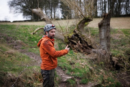 ‘It’s as if it was holding on until we completed the film’ … Robert Petit with the Old Mother Ash tree.