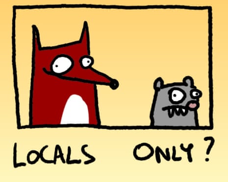Fox and quoll pixie
