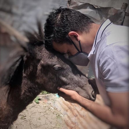 Xnxx Animal Hors And Girl Pron Video In - Cats, dogs and Musy the donkey: welcome to Kashmir's first animal rescue  centre | Global development | The Guardian