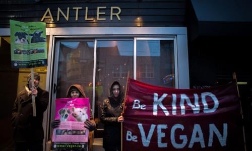 Become a vegetarian activist english edition