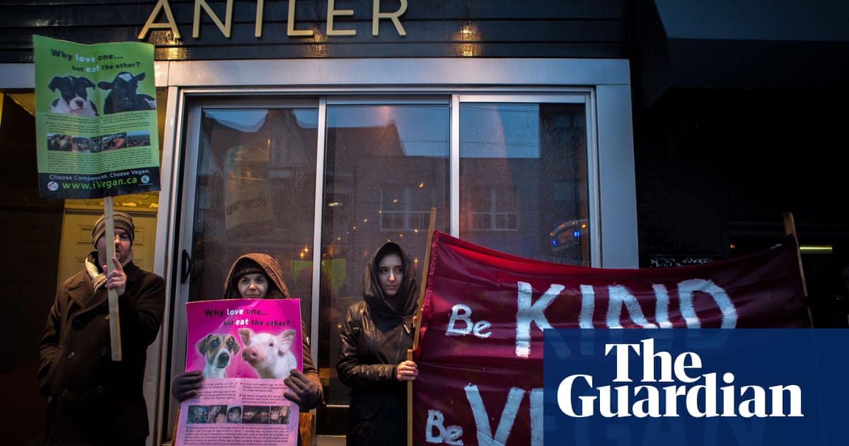 All Hdoxes Take A Look Your Front Door Camera Spotted A Person At