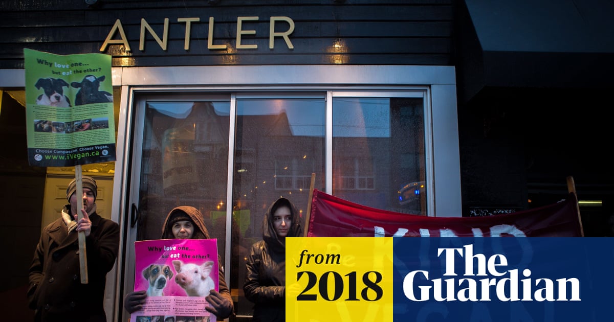 Chef who butchered a deer leg in front of vegan protesters: 'We won't change'