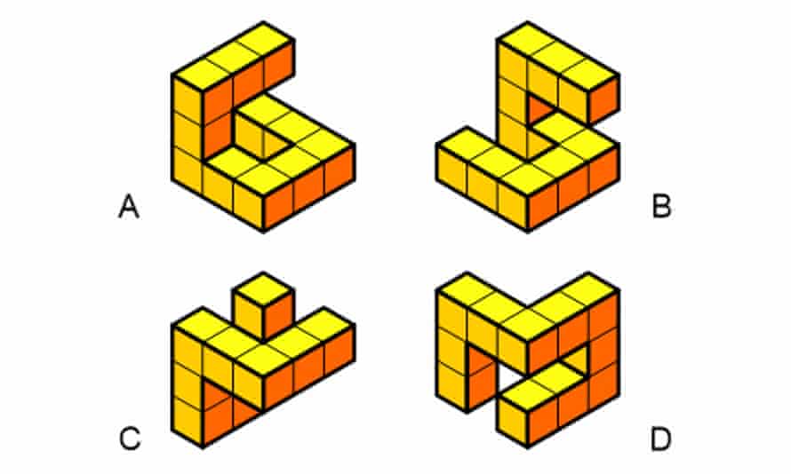 Can you solve it?  The magnificent Grabarchuks, the family of puzzles from Ukraine |  Mathematics