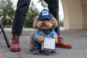 A dog dressed as a United States postal worker.