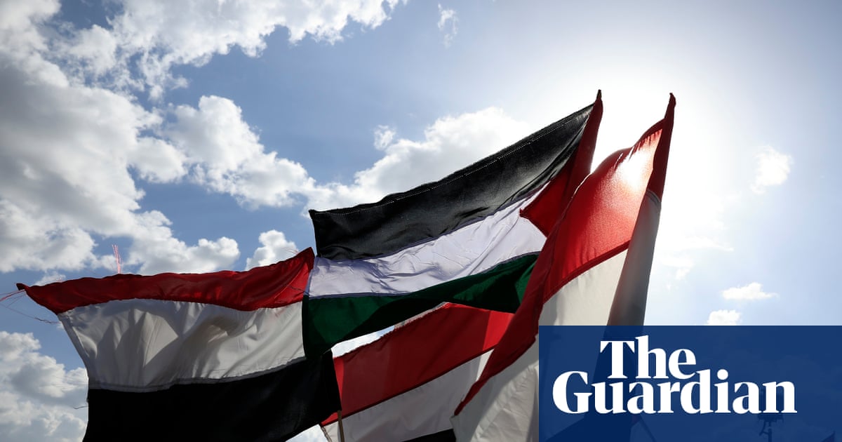 Yemen needs two-state solution as no prospect of ousting Houthis, says southern leader