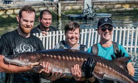 Three people hold up a sturgeon in front of a white fence, with a person standing behind, and a waterway behind them.