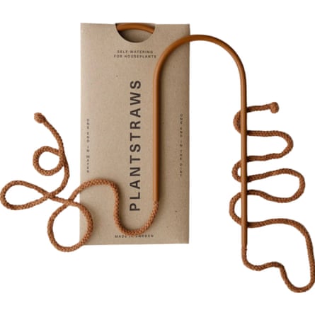 Pack of London Terrariums Plant Straws in terracotta.