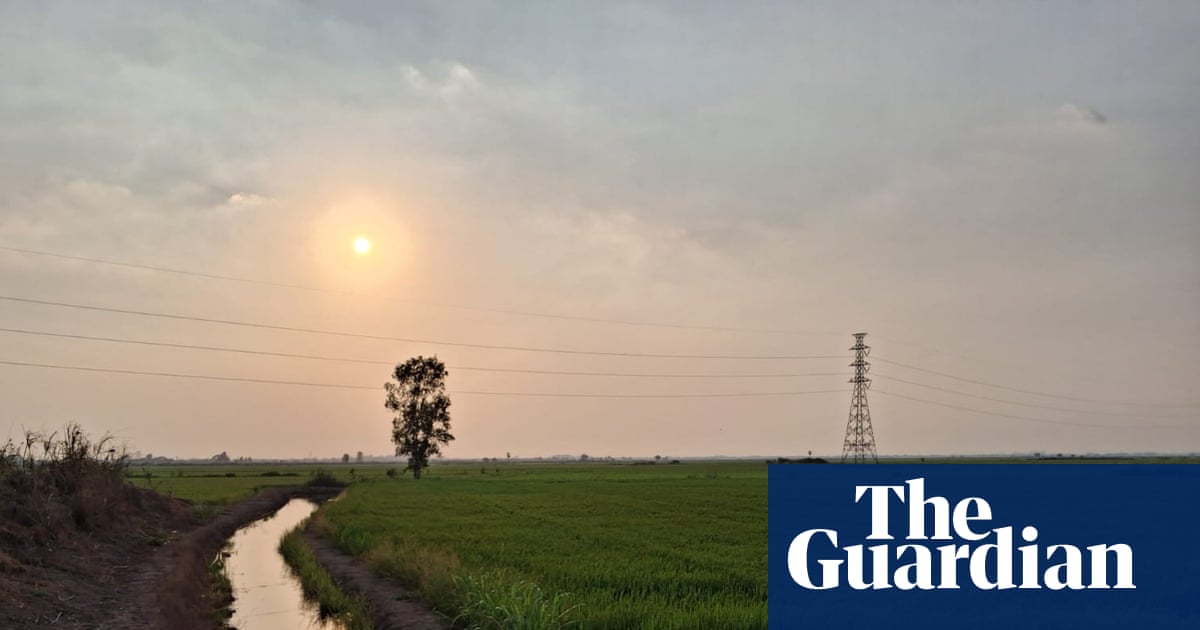 In Thailand’s rice paddies, rising petrol prices spell disaster for farmers