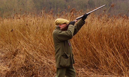 Game Shooting