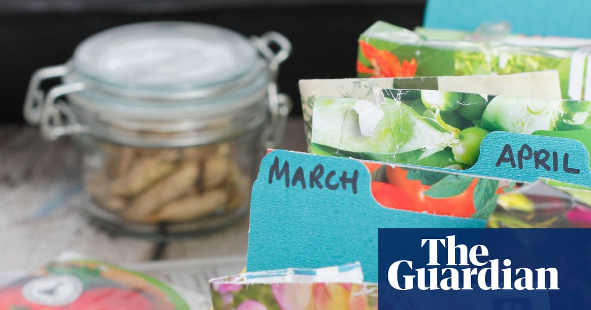 Forget new year gardening resolutions. In 2026 I’m lowering my standards