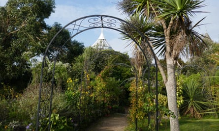 garden with palm trees