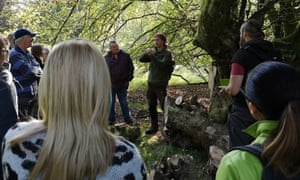 Northern Wilds forest foraging, Kielder.