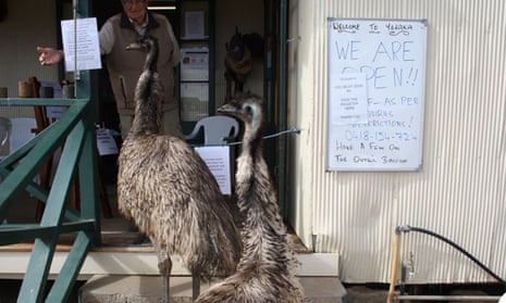 The Yaraka Hotel in outback Queensland has banned the local emus, Kevin and Carol ,from entering the pub due to bad behaviour.