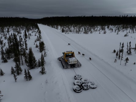 An all-terrain vehicle with caterpillar tracks in place of wheels drags a set of tyres across the snow of the road; there are four large dogs running towards it