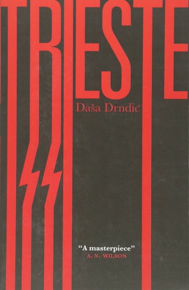 Daša Drndić is best known for her book Trieste