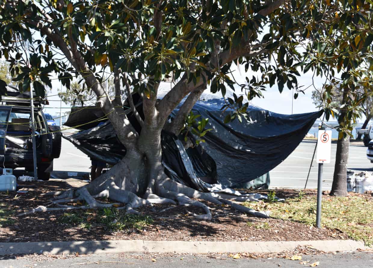 A tent set up under a tree in a car park